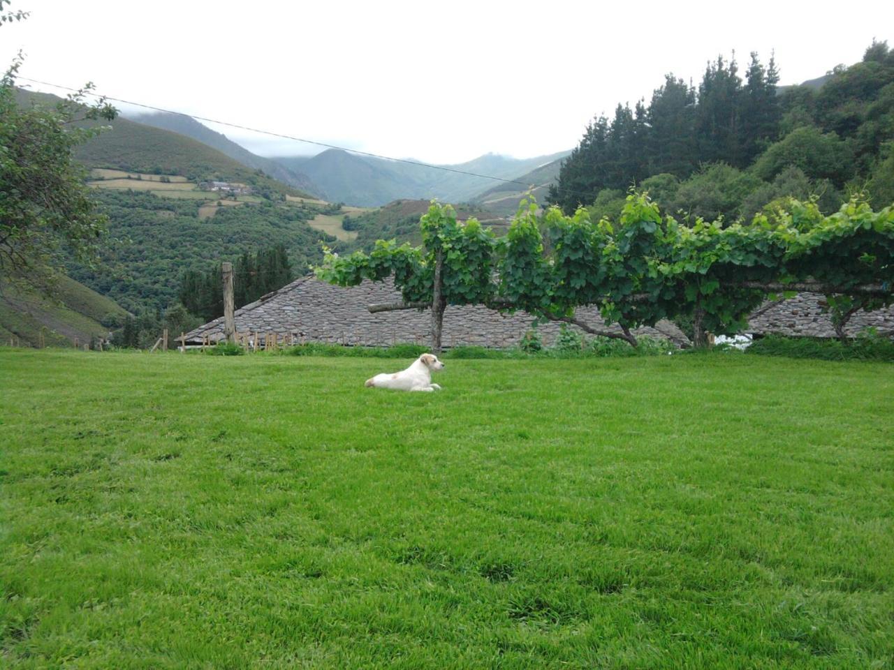 Apartamentos El Valledor Tremado Luaran gambar